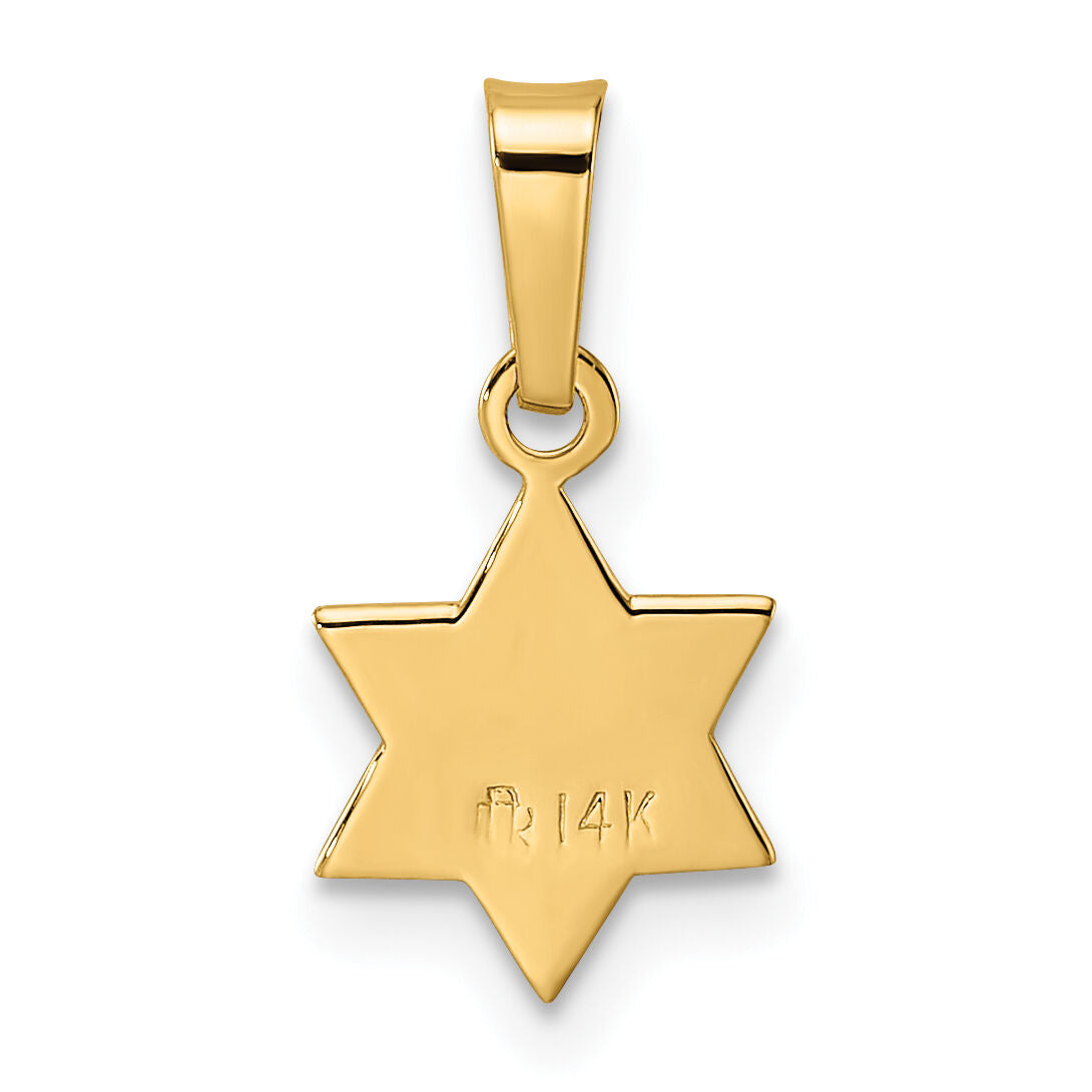 14k Polished & Textured Solid Star of David Pendant-XR1973
