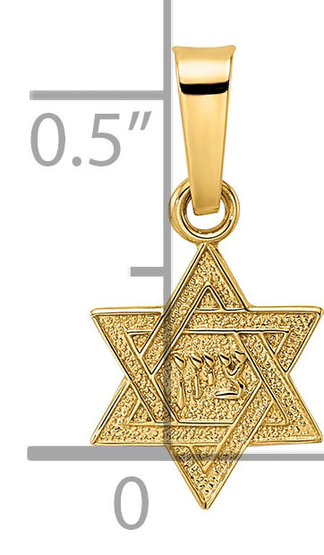 14k Polished & Textured Solid Star of David Pendant-XR1973