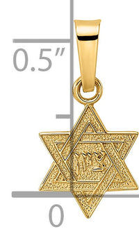 14k Polished & Textured Solid Star of David Pendant-XR1973