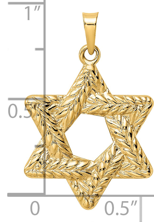 14k Polished and Textured Solid Star of David Pendant-XR1977
