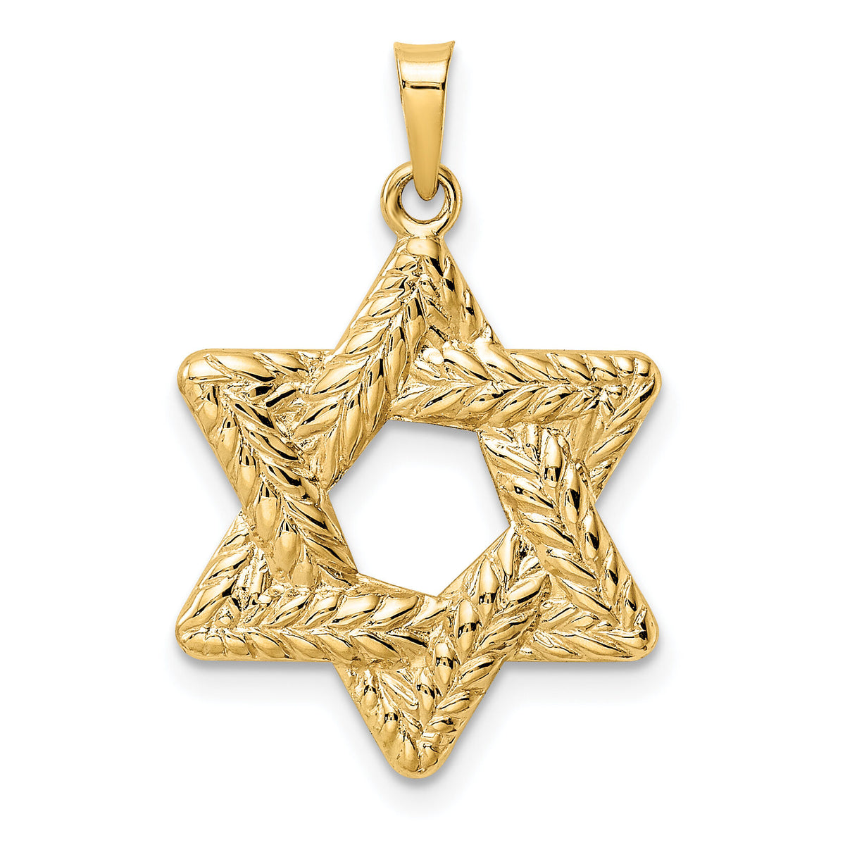14k Polished and Textured Solid Star of David Pendant-XR1977