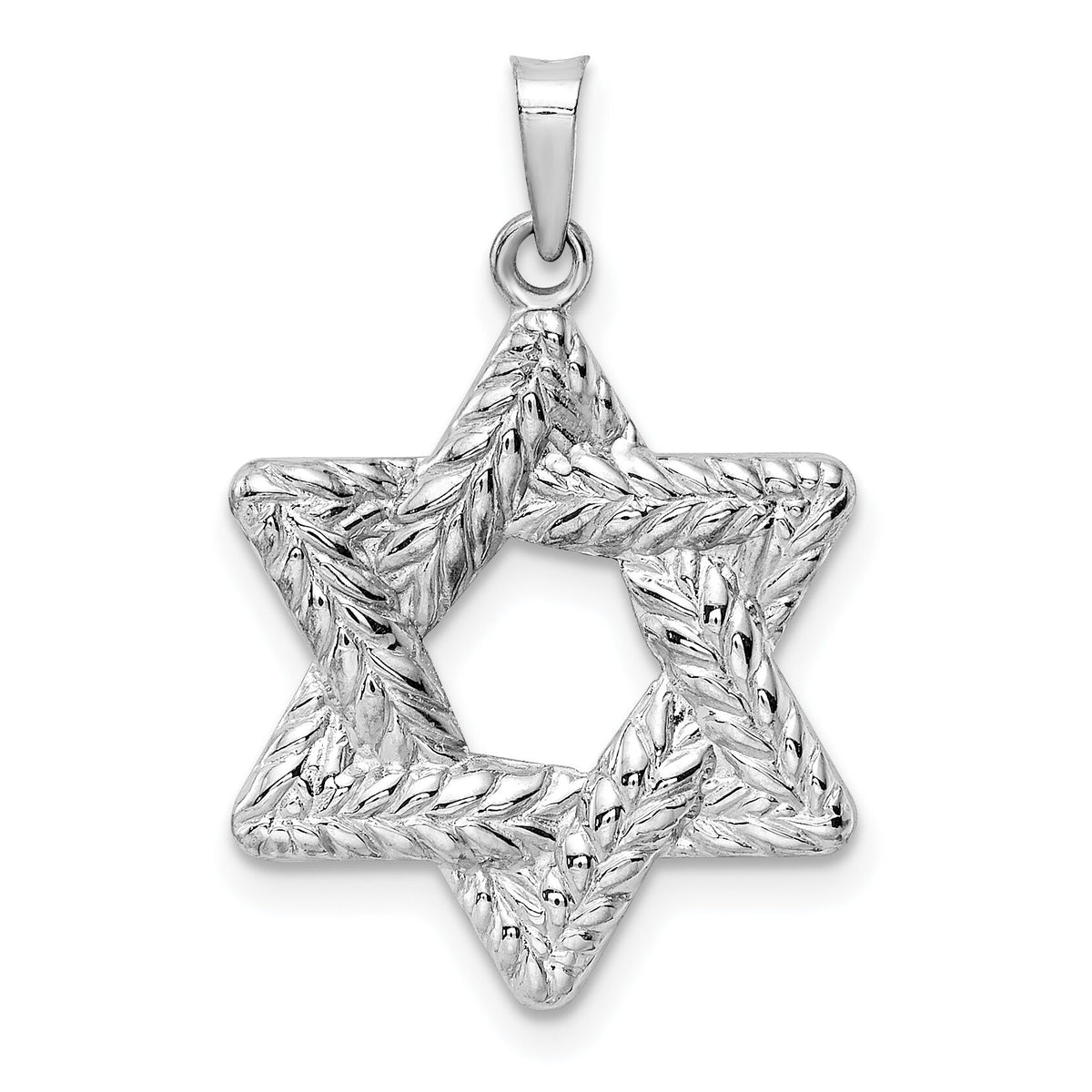 14k White Gold Polished and Textured Solid Star of David Pendant-XR1979