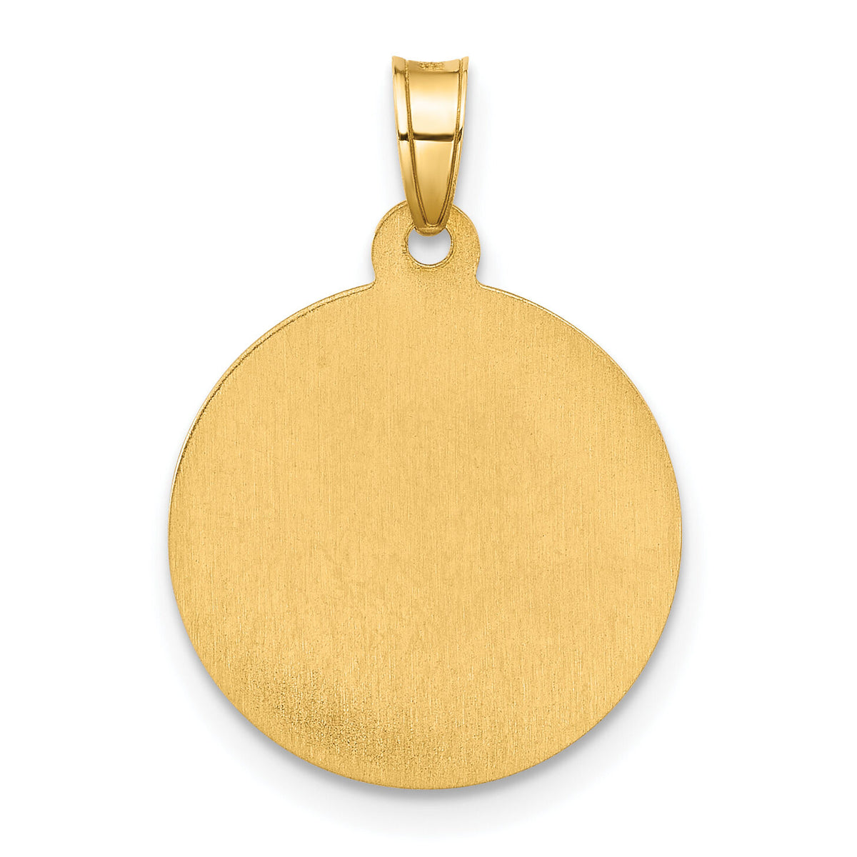 14K and White Rhodium Hollow Our Lady of Mt Carmel Medal-XR2104