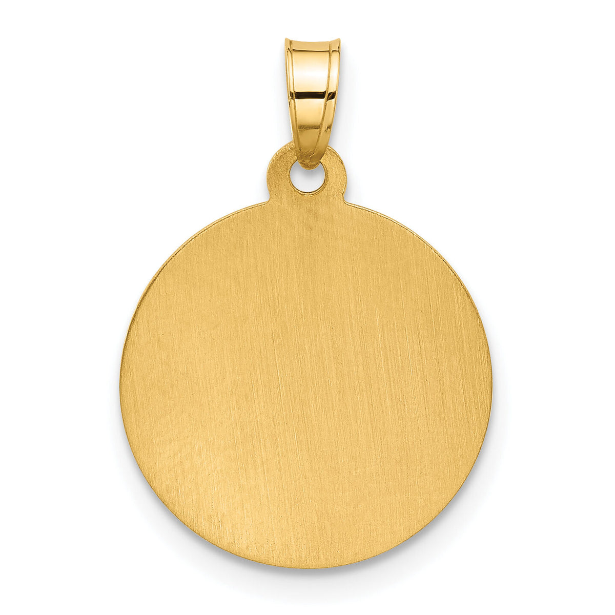 14K and White Rhodium Hollow Miraculous Mary Plain Back Medal-XR2109