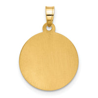 14K and White Rhodium Hollow Miraculous Mary Plain Back Medal-XR2109