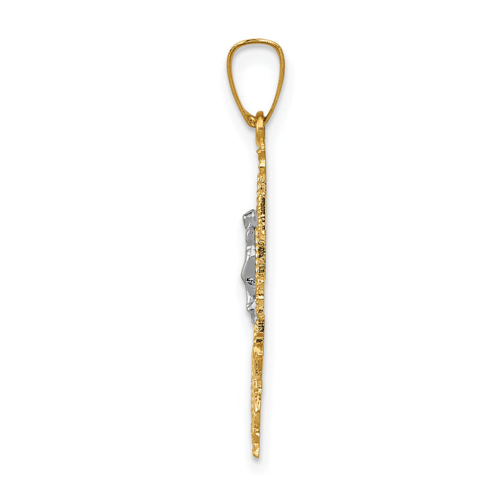14k Two-tone Cara Vaca Crucifix Pendant-XR284