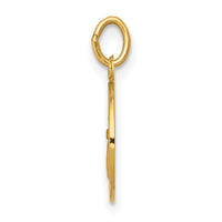 14k Guardian Angel Medal Charm-XR328