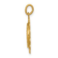14k Miraculous Medal Charm-XR330
