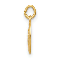 14k Miraculous Medal Charm-XR334