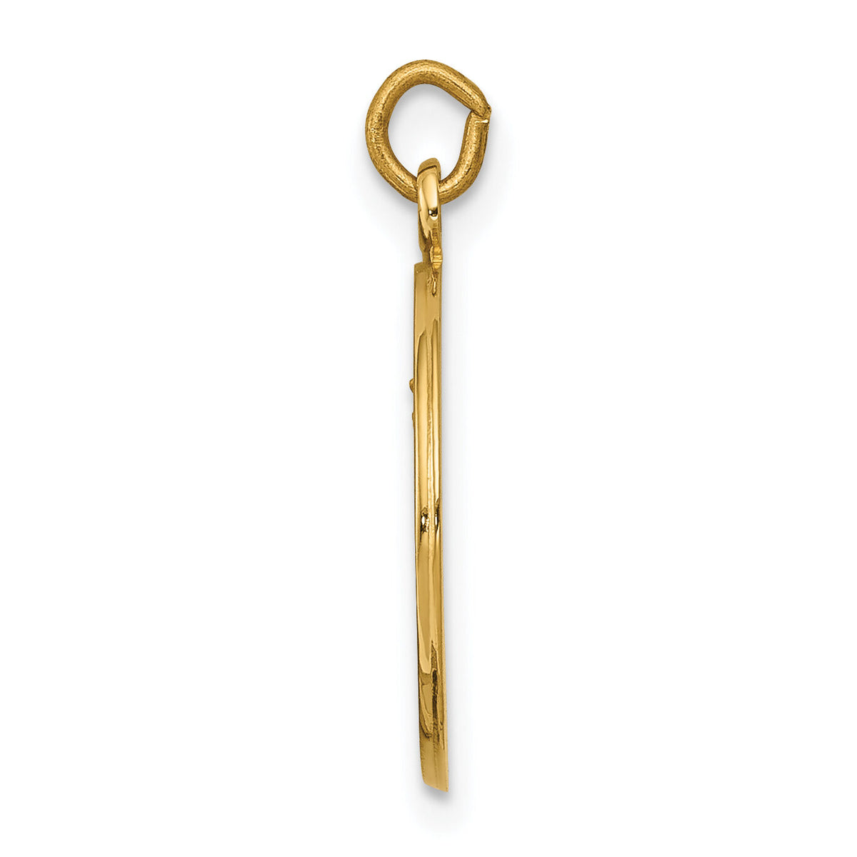 14k Our Lady of Mount Carmel Medal Charm-XR342