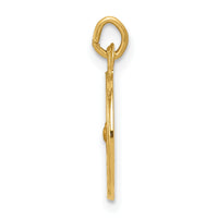 14k Holy Spirit Medal Charm-XR374