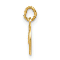 14k Saint Christopher Medal Charm-XR380
