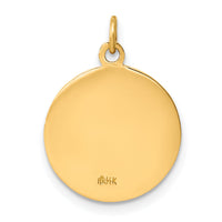 14k Saint Francis of Assisi Medal Charm-XR391
