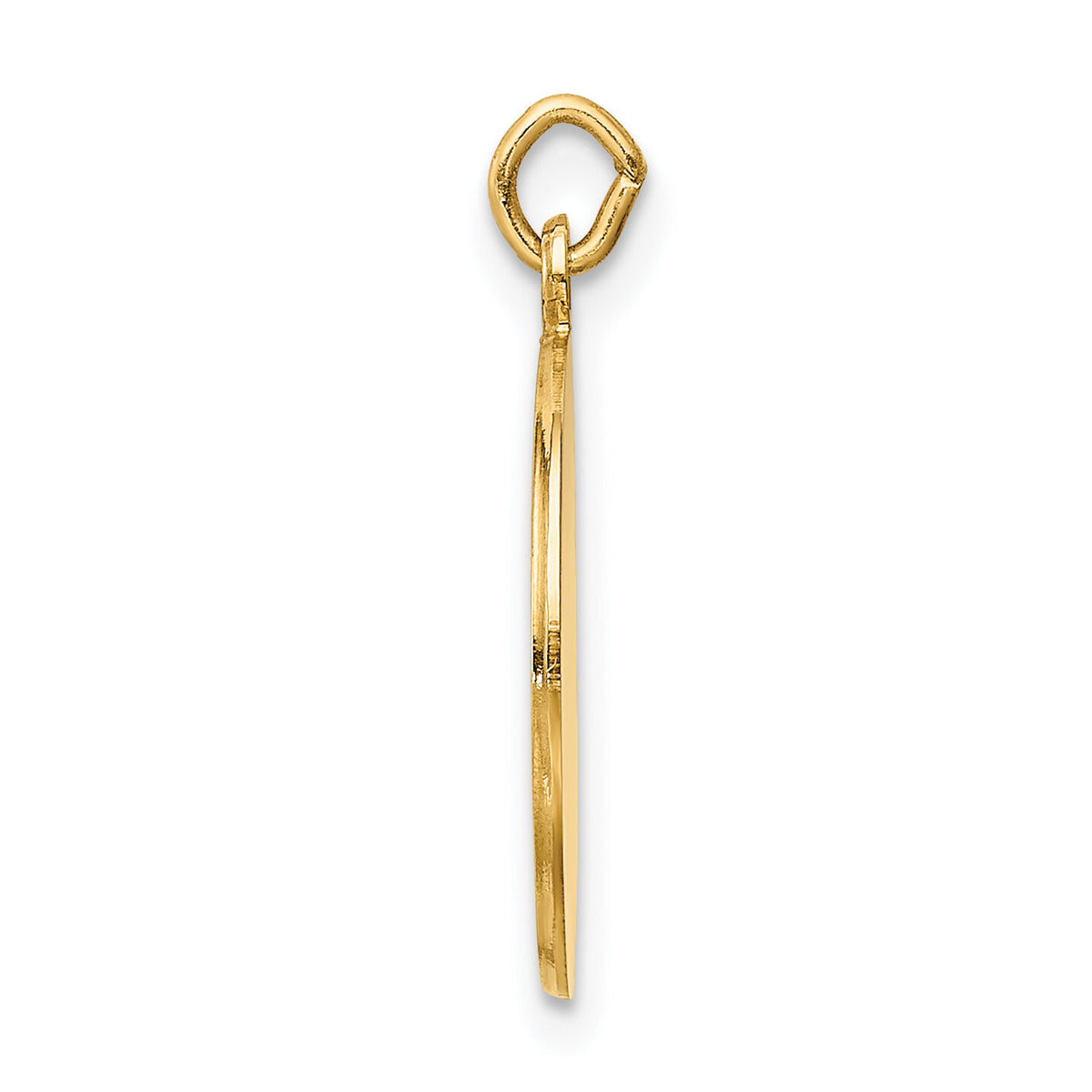 14k Saint Roch Medal Charm-XR414