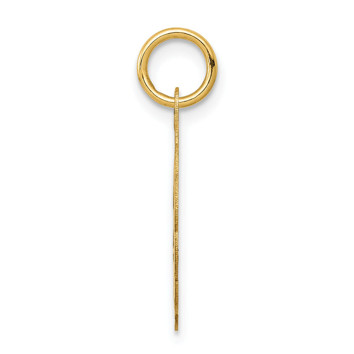 14k Solid Star of David Disc Charm-XR416