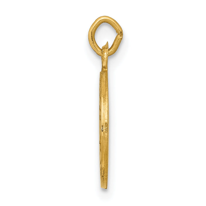 14k Saint Elizabeth Seton Medal Charm-XR617