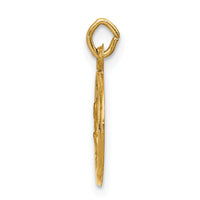 14k Saint Peter Medal Charm-XR633