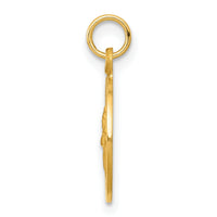 14k Saint Patrick Medal Charm-XR637