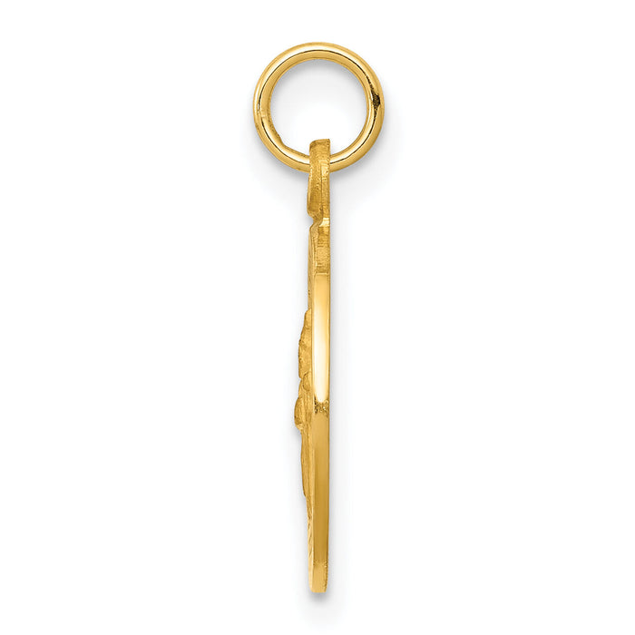 14k Saint Patrick Medal Charm-XR637