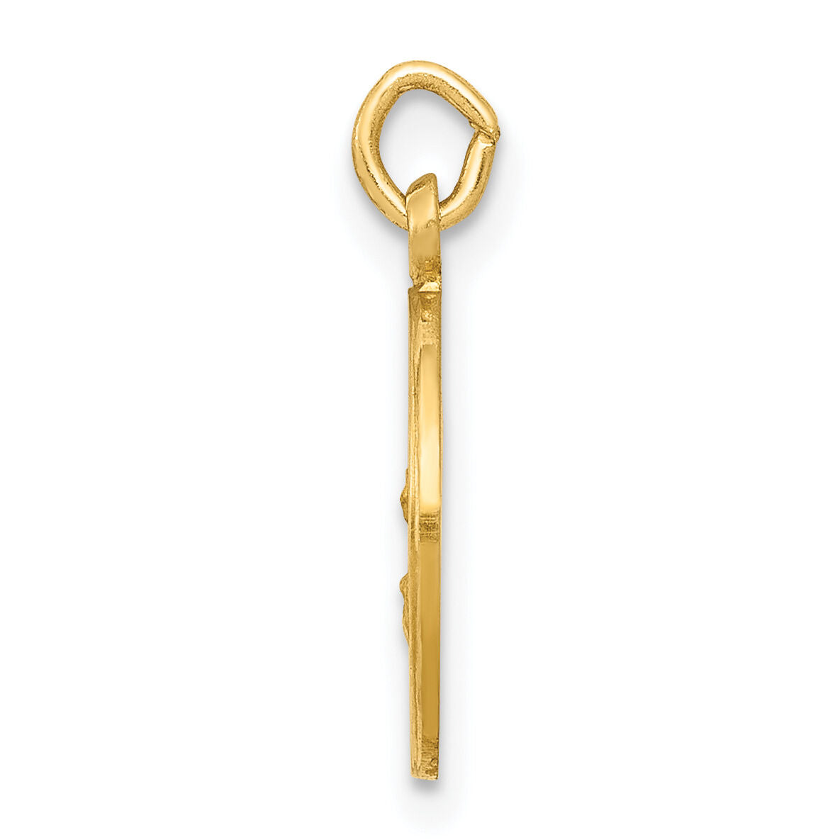 14k Our Lady Of The Assumption Medal Charm-XR639