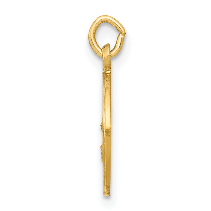 14k Our Lady Of The Assumption Medal Charm-XR639