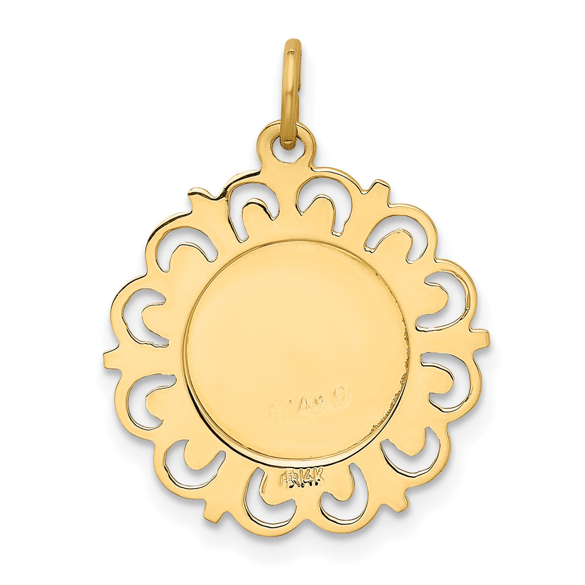 14k Our Lady Of The Assumption Medal Pendant-XR641