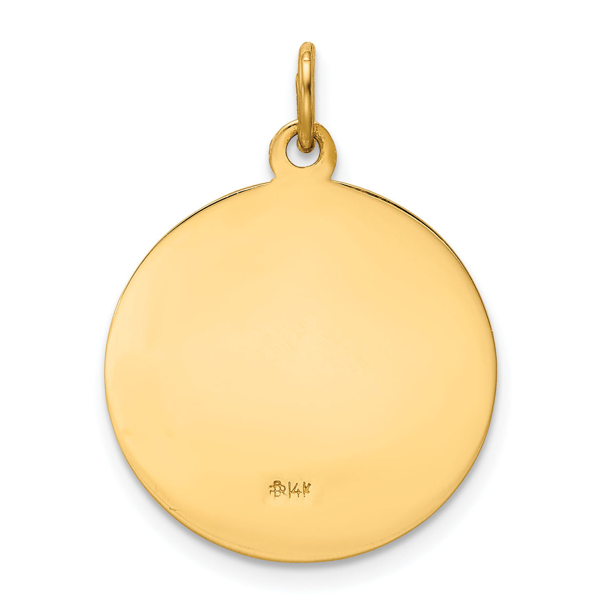 14k Our Lady of Perpetual Help Medal Pendant-XR643