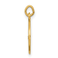 14k Our Lady of Lourdes Medal Charm-XR648