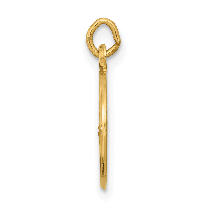 14k Our Lady of Lourdes Medal Charm-XR648