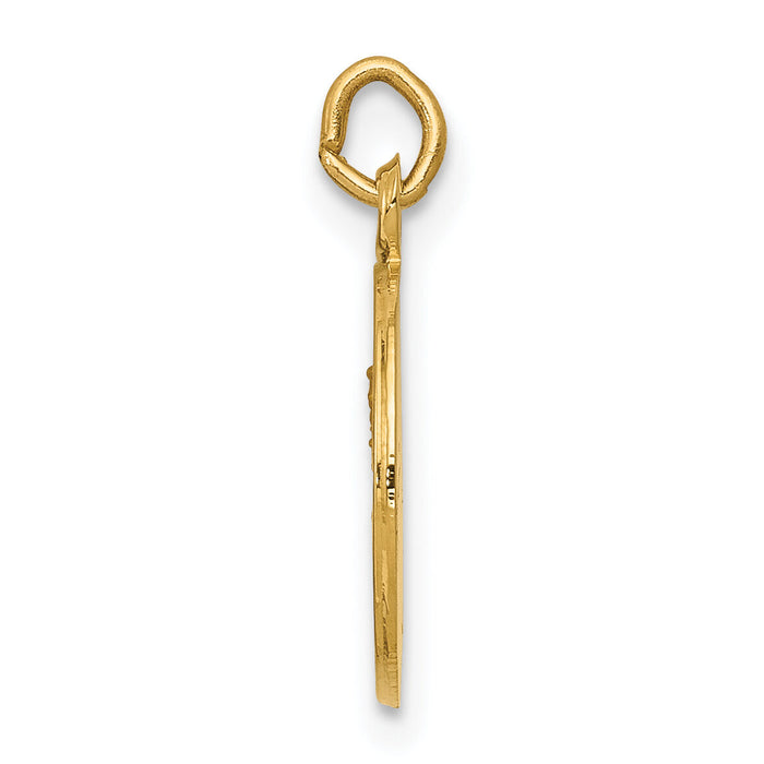 14k Our Lady of Mt. Carmel Medal Charm-XR651