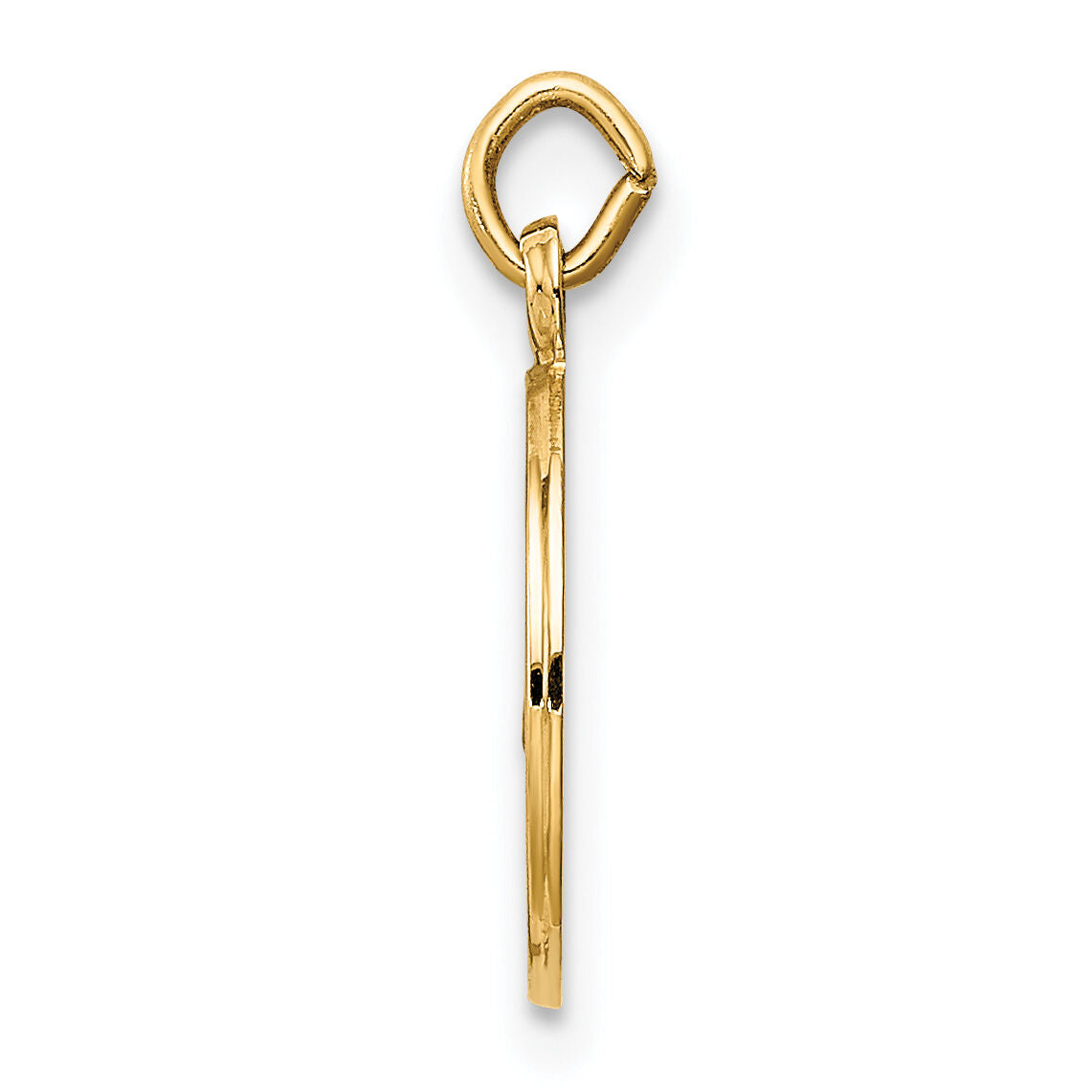 14K Caridad Del Cobre Medal Charm-XR663