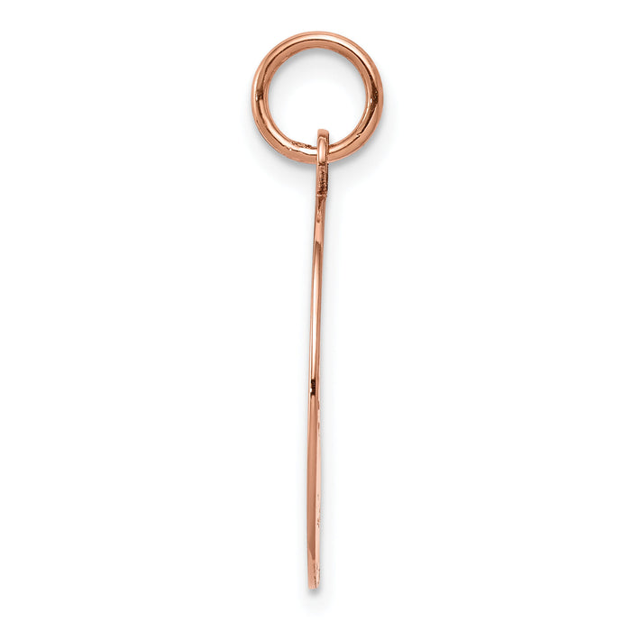 14k Rose Gold Plain .011 Gauge Circular Engraveable Disc Charm-XRM136/11