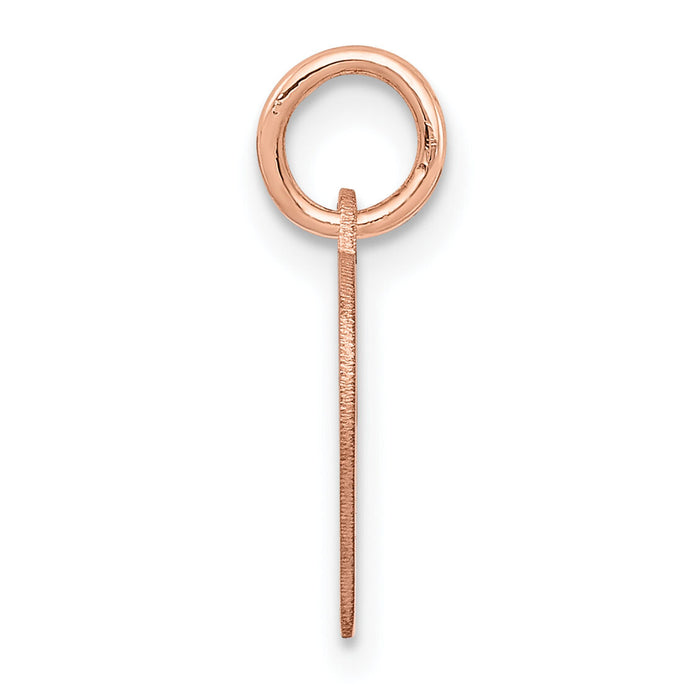 14k Rose Gold Heart Disc Charm-XRM526/13