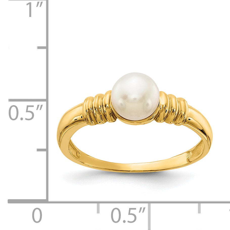 14K 5-6mm White Button Freshwater Cultured Pearl Ring-Y13944PL