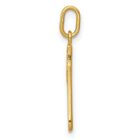 14k Yellow Gold Letter P  Initial Charm-YC1060P