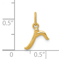 14k Yellow Gold Letter R Initial Charm-YC1060R