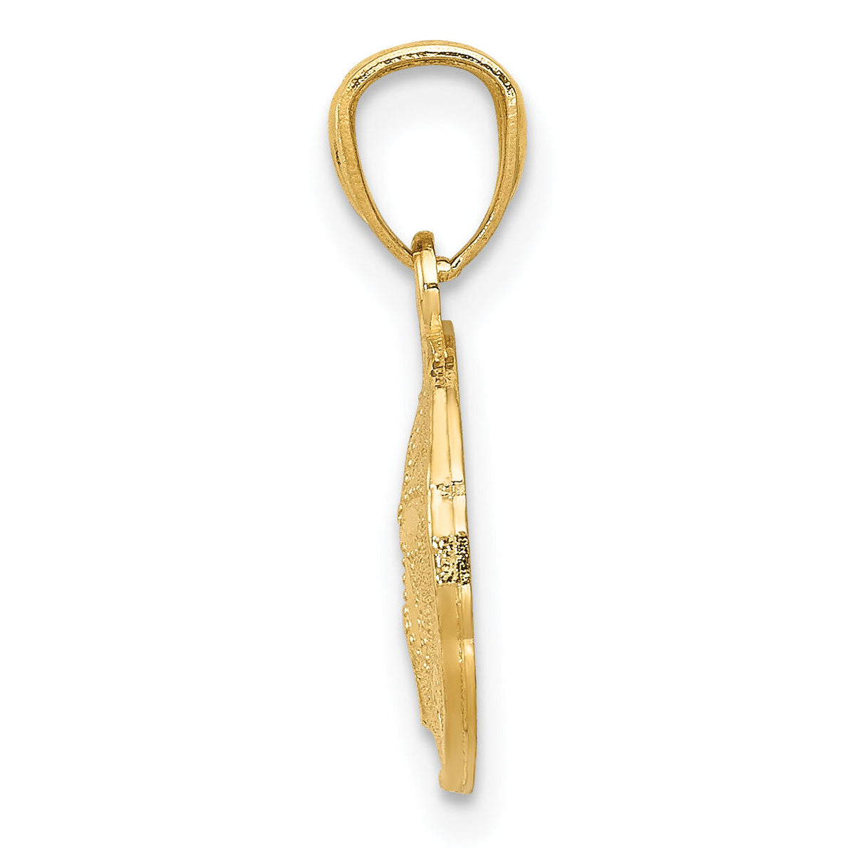 14K Gold Polished and Textured Sand Dollar Pendant-YC1252