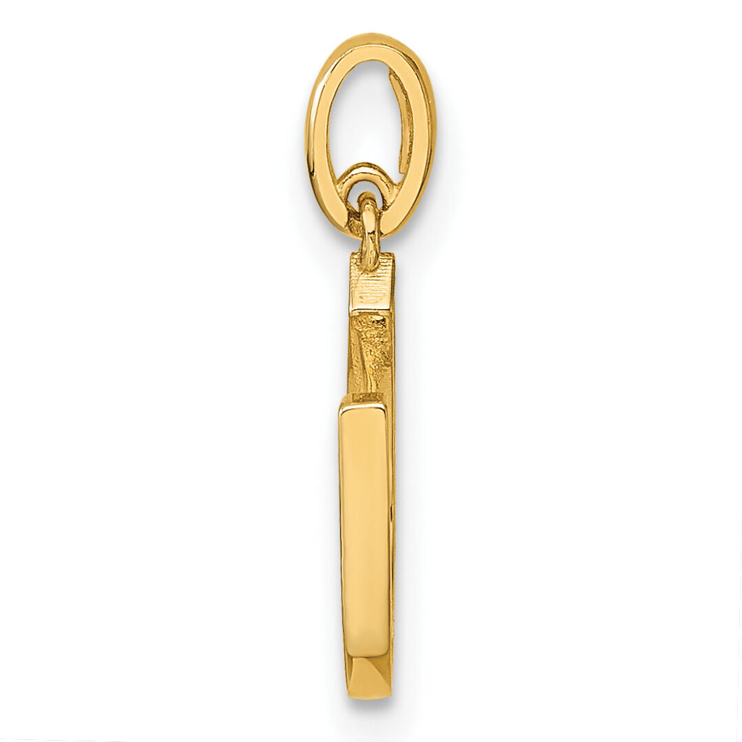 14k Childrens CZ Horseshoe Pendant-YC1292