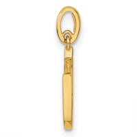 14k Childrens CZ Horseshoe Pendant-YC1292