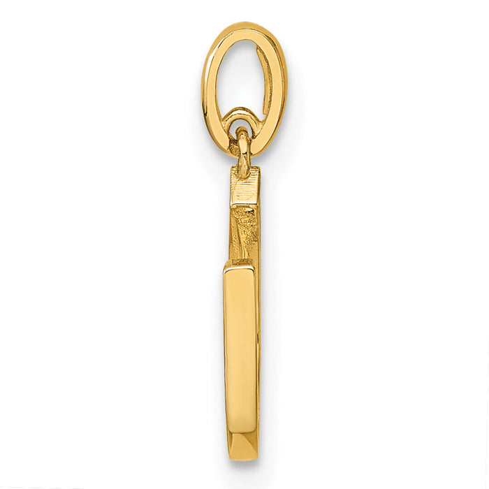 14k Childrens CZ Horseshoe Pendant-YC1292