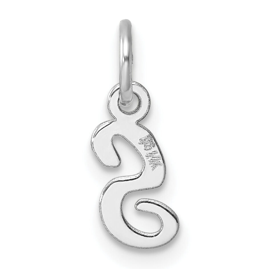 14k White Gold Small Script Letter S Initial Charm-YC1527S