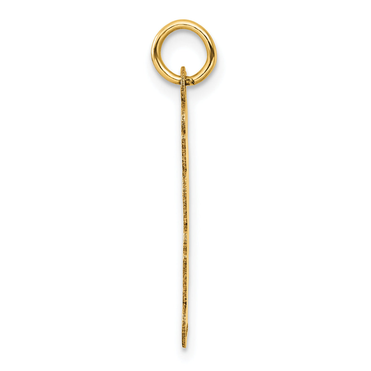 14K Polished and Satin Vertical 2025 Charm-YC1546-25