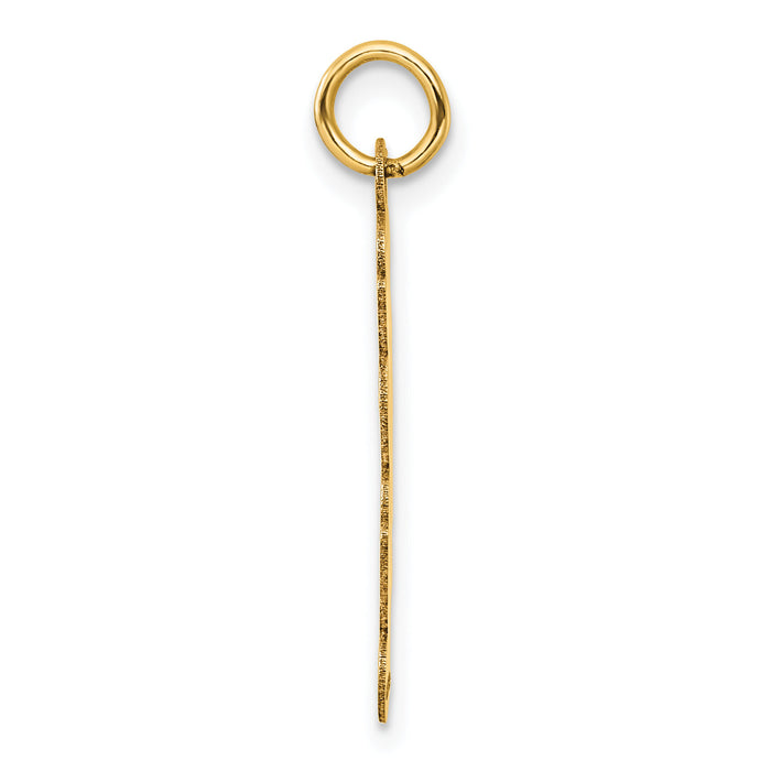 14K Polished and Satin Vertical 2025 Charm-YC1546-25