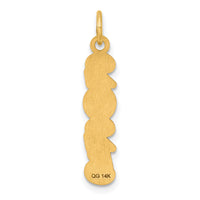 14K Polished and Satin Vertical 2025 Charm-YC1546-25