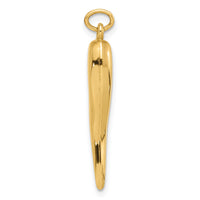 14k Polished Hollow Italian Horn Pendant-YC1582