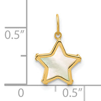 14K Polished Mother of Pearl Star Pendant-YC1630