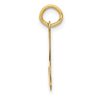 14KY Script Letter X Initial Charm-YC248X