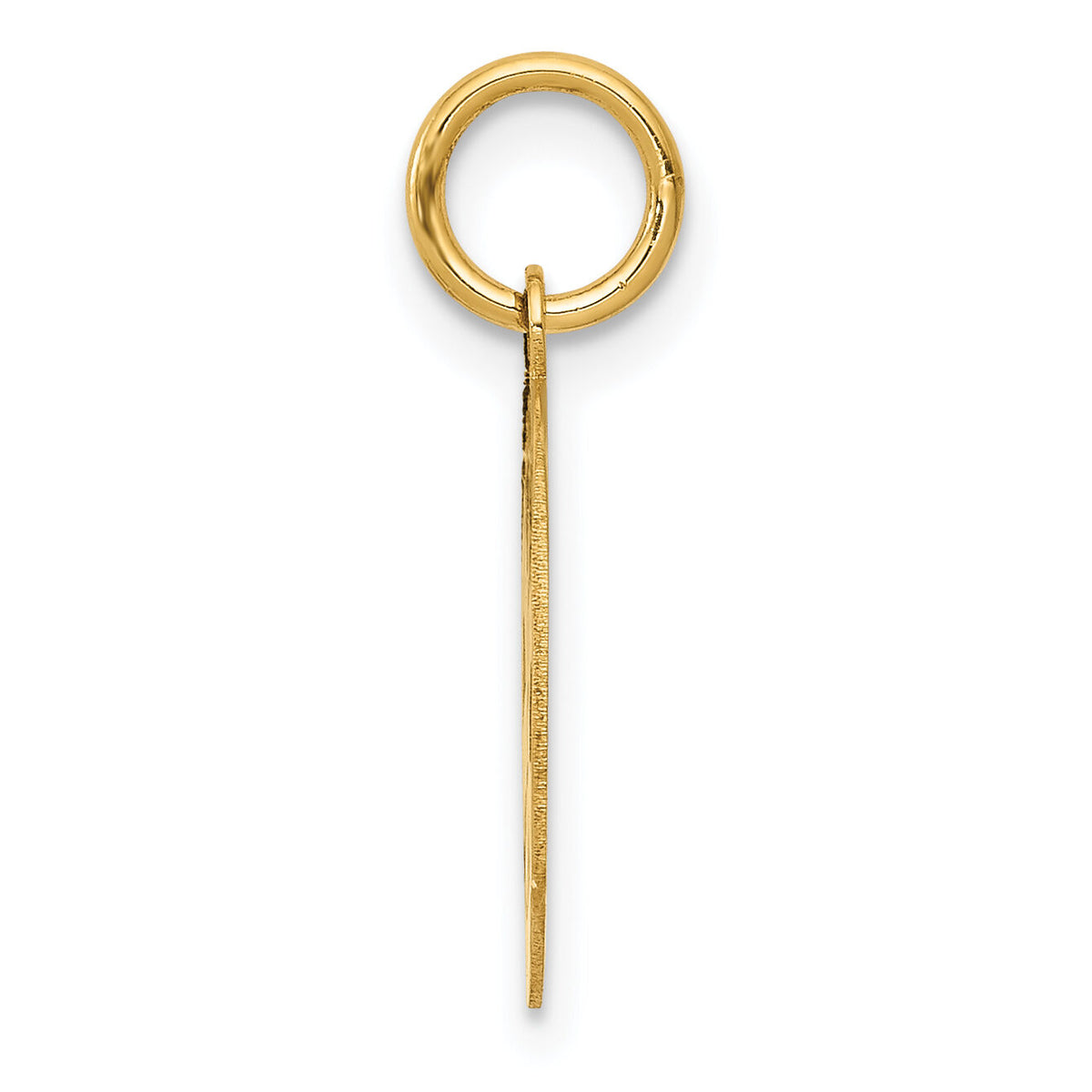 14k Small PARAMEDIC Medical Charm-YC515