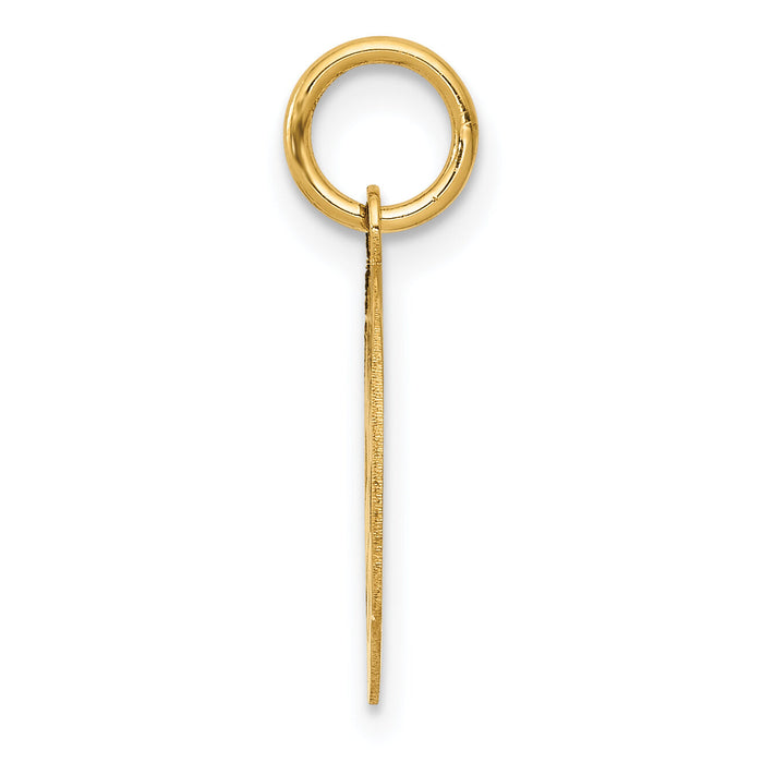 14k Small PARAMEDIC Medical Charm-YC515