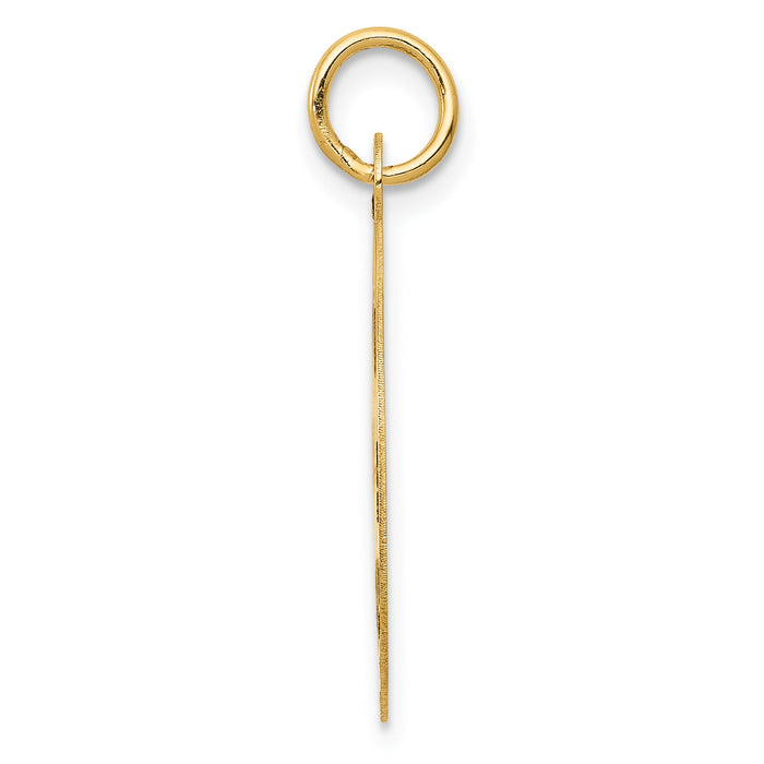 14k Medium PARAMEDIC Medical Pendant-YC516